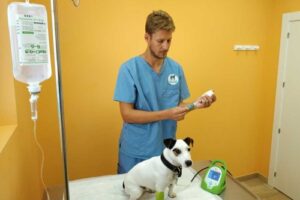 Clínicas veterinarias y profesionales veterinarios en Aranjuez