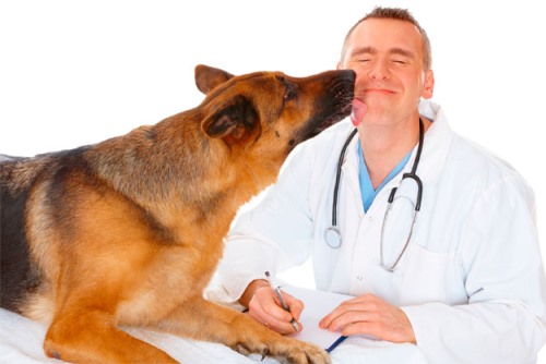 Clínicas veterinarias en Cardenal Caro