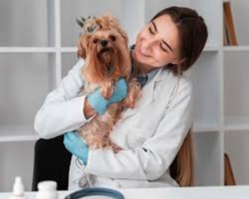 Clínicas veterinarias en El Viso del Alcor