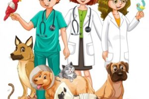 Clínicas veterinarias en La Granja