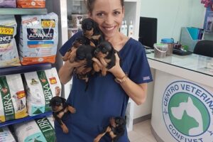 Clínicas veterinarias y profesionales veterinarios en Montijo