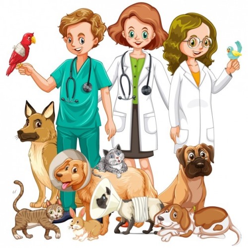 Clínicas veterinarias y profesionales veterinarios en Navarclés
