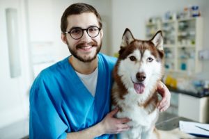Clínicas veterinarias y profesionales veterinarios en Torrevieja