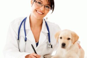 Clínicas veterinarias y profesionales veterinarios en Vícar