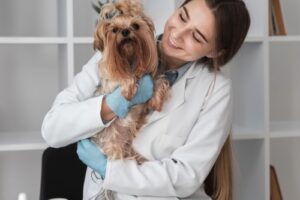 Clínicas veterinarias y profesionales veterinarios en Andrach