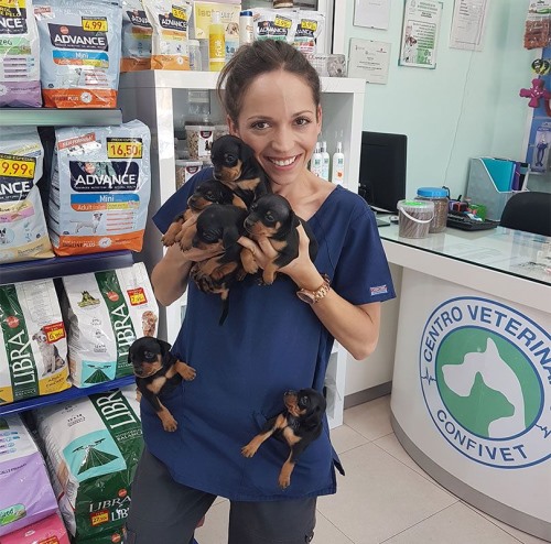 Clínicas veterinarias y profesionales veterinarios en Villanueva del Arzobispo