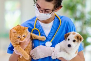 por que los veterinarios cobran tanto dinero