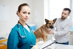 Clínicas veterinarias en Libres